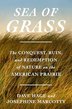 SEA OF GRASS