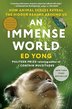 AN IMMENSE WORLD
